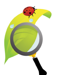 Cover photo for Mini Junior Master Gardener Day Camp