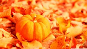 small orange pumpkin on orange leaves