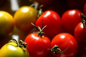 A close up of small red and green tomatoes