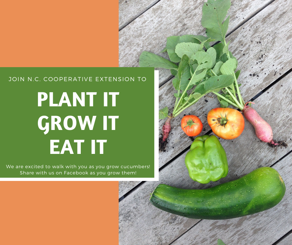 a face made of vegetables on a wooden background with an orange background on the left and white words (Plant it, Grow it, Eat it)