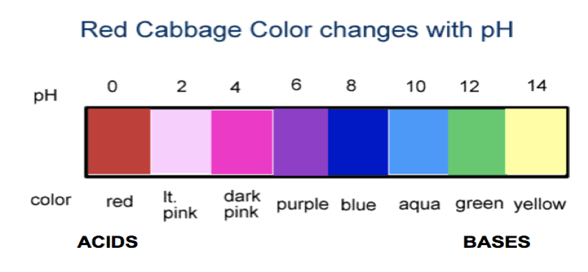 pH scale