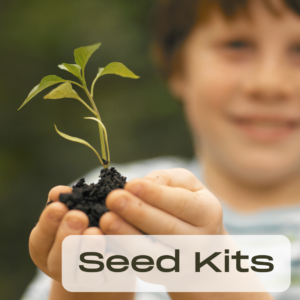 a young boy holding a seedling with soil around the base