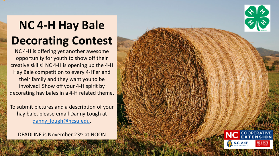 Hay Bale Decorating Contest