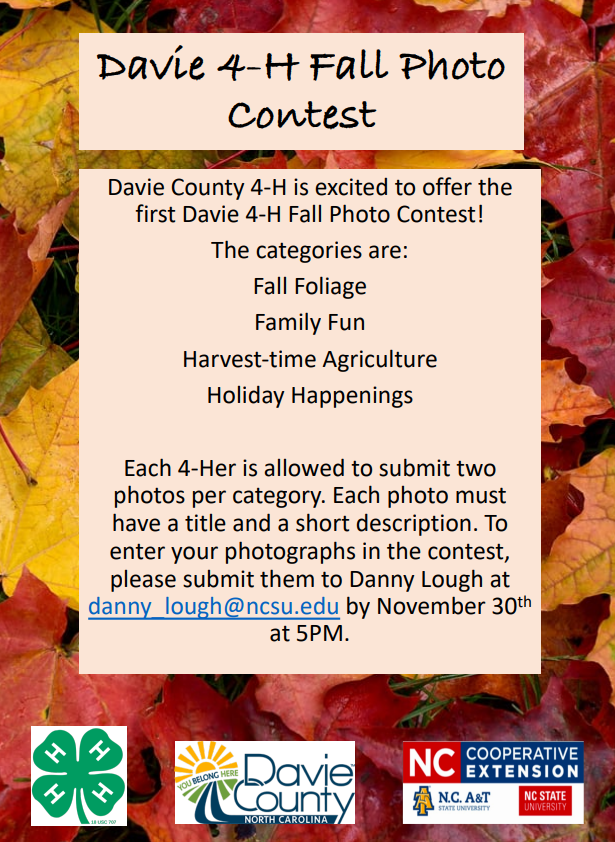 4-H Fall Photo Contest