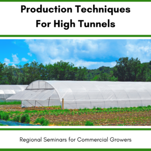 High Tunnel garden