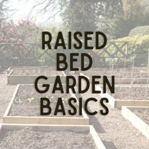 Six raised bed garden plots with a fence in the background with trees behind it