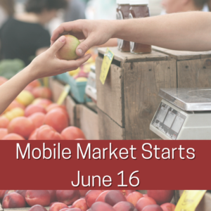Cover photo for New Community Market Starts June 16!