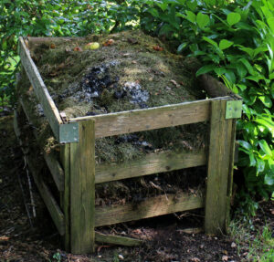 Cover photo for Learn to Make Compost in Your Backyard