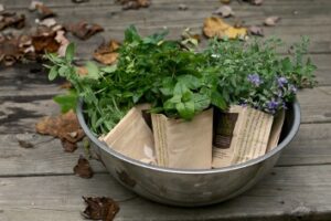 Cover photo for Interested in Selling Medicinal Herbs or Herbal Products?