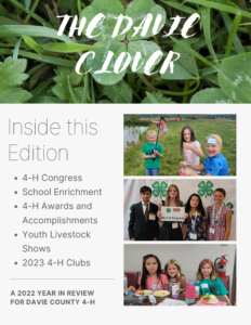 Cover photo for 4-H Year End Recap