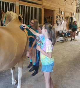 Girls brush a horse in a stable.