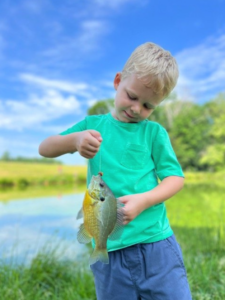 A young boy holds a fish caught on a fishing line.