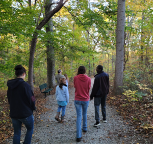 A group walks down a gravel path through a forest.