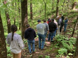 Group of people in the woods looking at native woodland botanicals