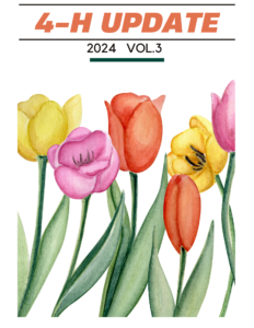 4-H Update 2024 Volume 3 yellow, pink and orange tulips