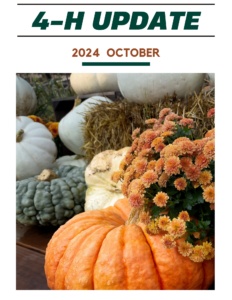 Dark green, grey and orange pumpkins with orange mums