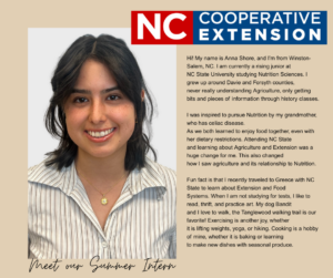 Cover photo for Davie County Center Hosts Summer Intern